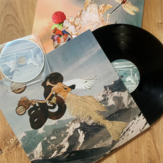bez jednym okiem śnie vinyl